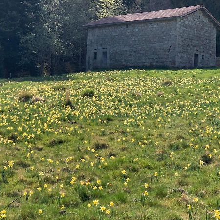 Gite " Oree Des Bois" Vertolaye Zewnętrze zdjęcie