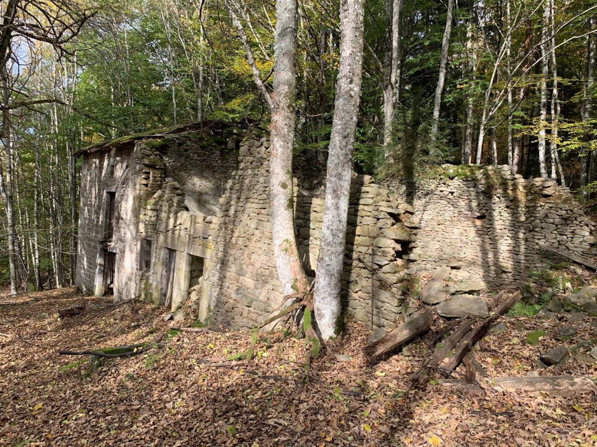 Gite " Oree Des Bois" Vertolaye Zewnętrze zdjęcie