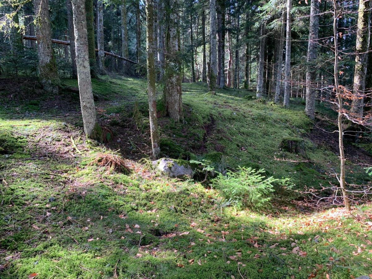 Gite " Oree Des Bois" Vertolaye Zewnętrze zdjęcie