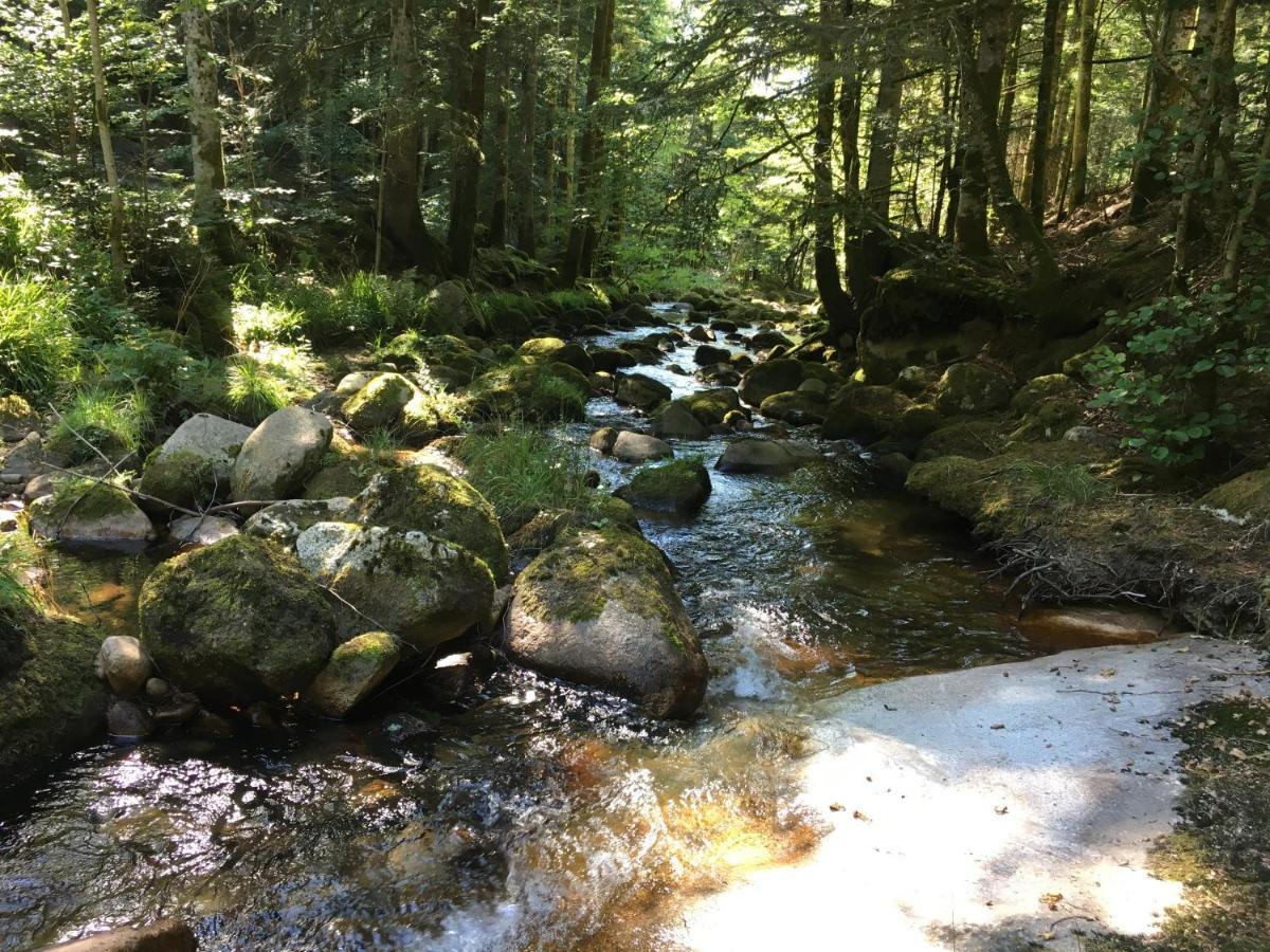 Gite " Oree Des Bois" Vertolaye Zewnętrze zdjęcie