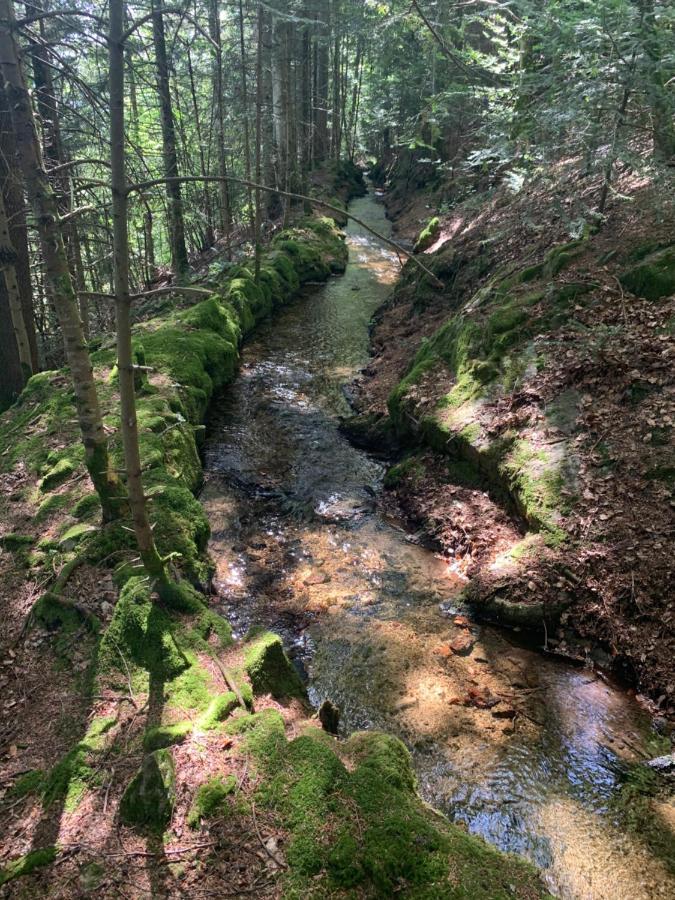 Gite " Oree Des Bois" Vertolaye Zewnętrze zdjęcie