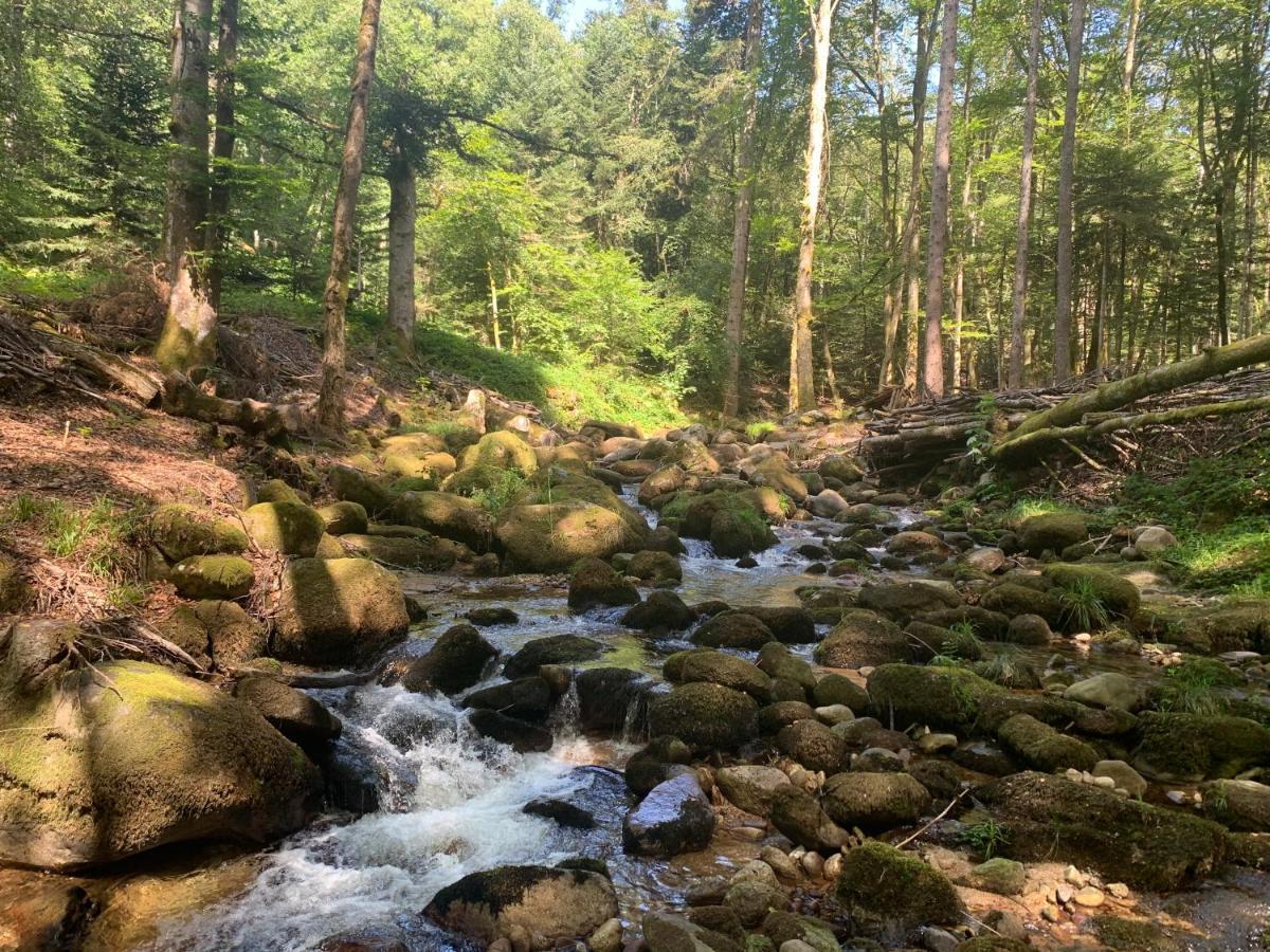 Gite " Oree Des Bois" Vertolaye Zewnętrze zdjęcie