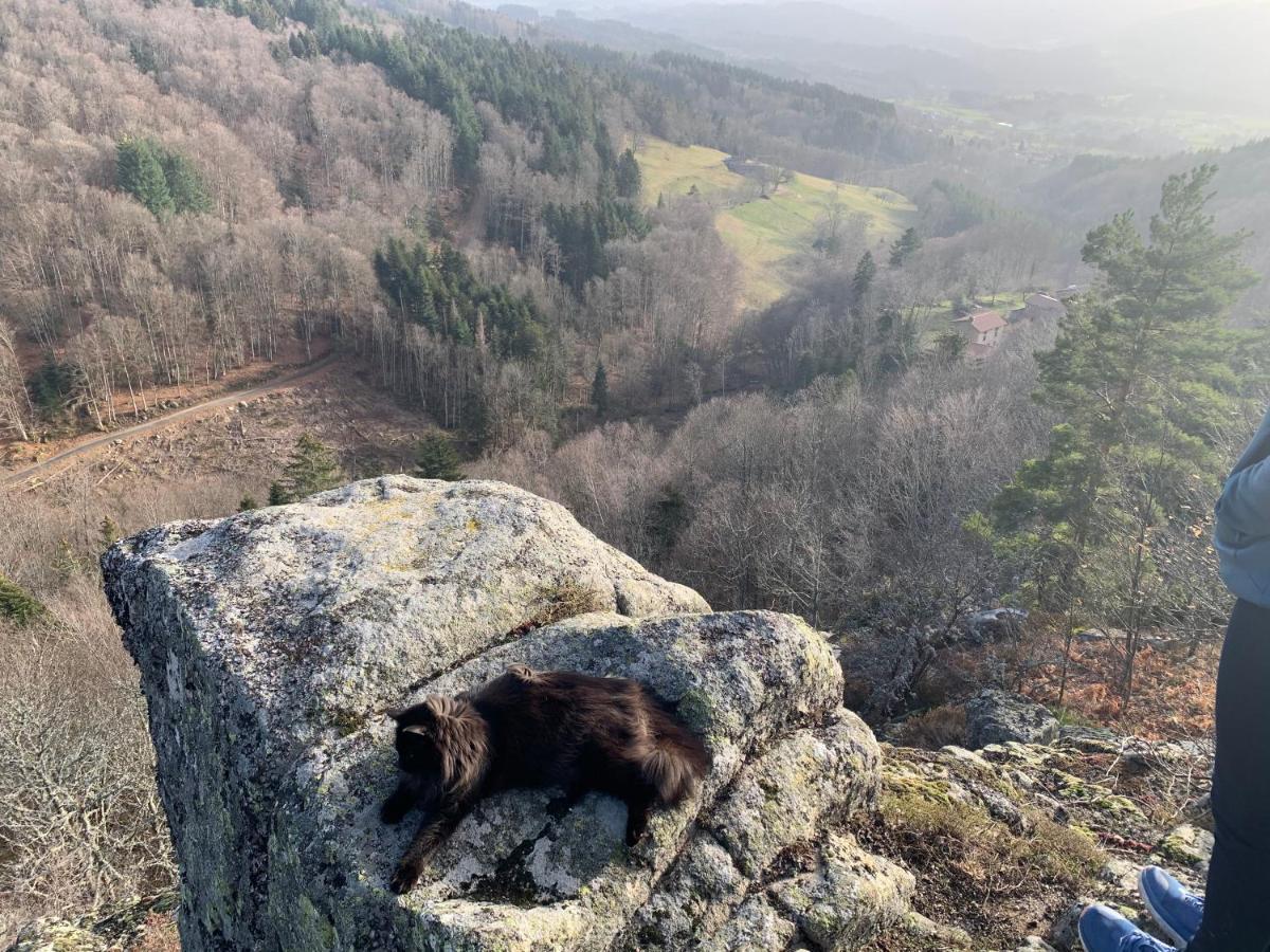 Gite " Oree Des Bois" Vertolaye Zewnętrze zdjęcie