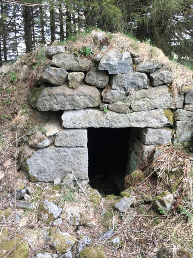 Gite " Oree Des Bois" Vertolaye Zewnętrze zdjęcie